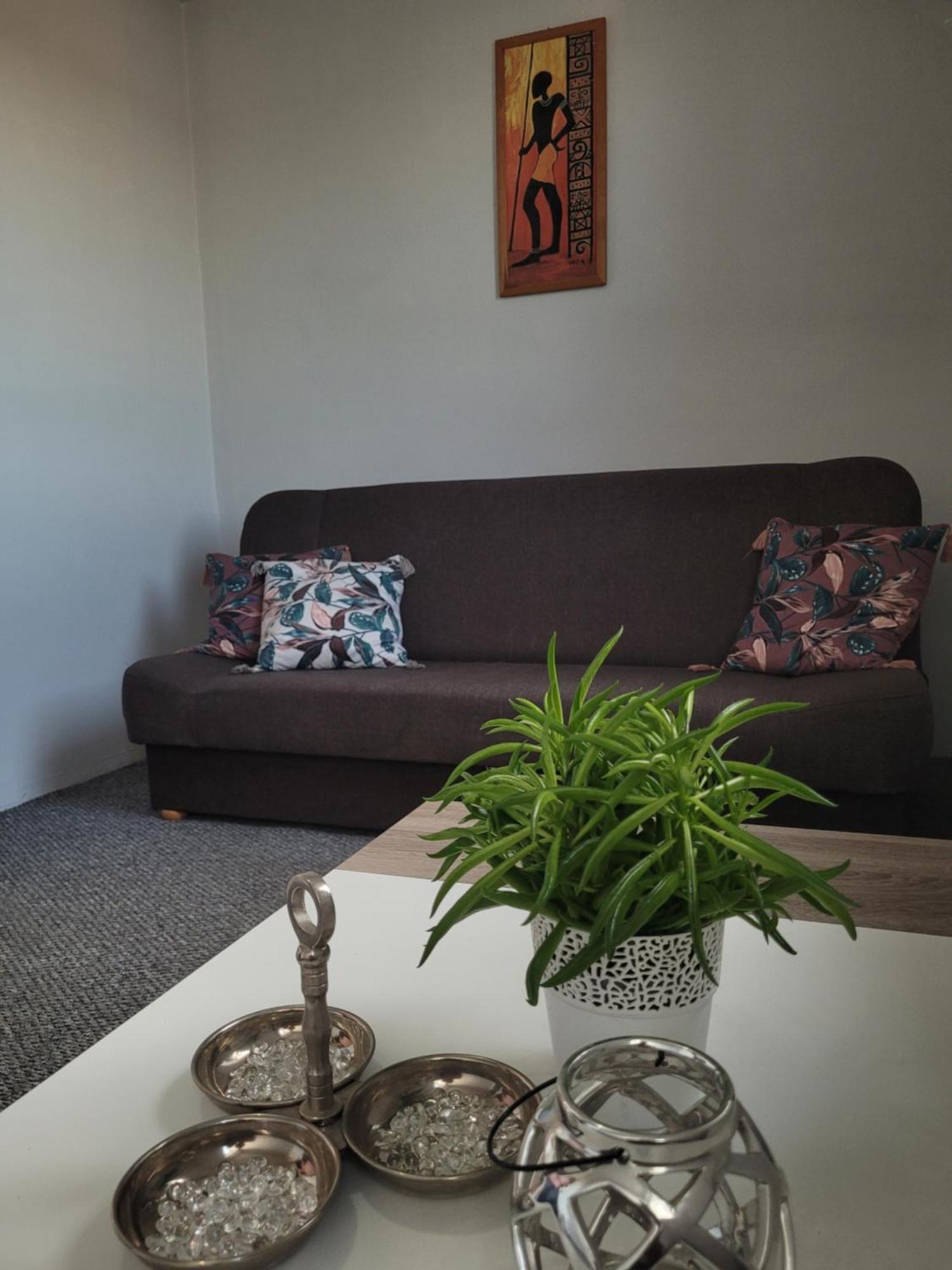 Apartament Zdunska Włocławek Exteriér fotografie