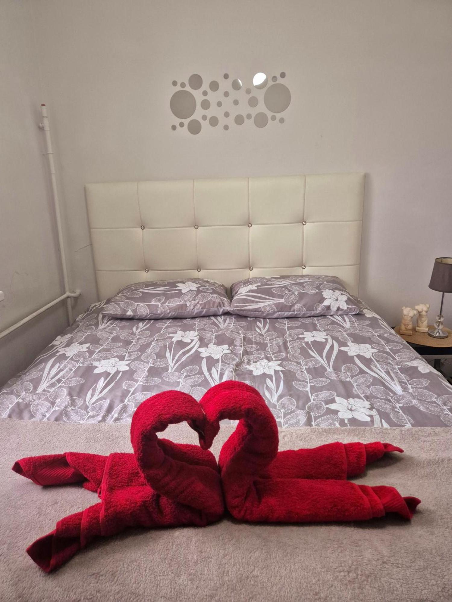 Apartament Zdunska Włocławek Exteriér fotografie
